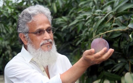Dr. Sayed Tipu Sultan examining fruit in a garden